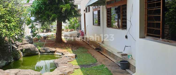 Lokasi Emas! Rumah Sewa Di Siranda – Cocok Untuk Restoran Atau Usaha Kuliner 1