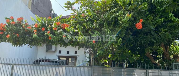 Cheap House for Sale in Pondok Cabe Udik, Negotiable Price Until Deal 1