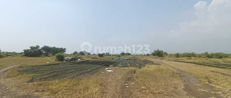 Sewa Tanah Zona Industri Kendal 1