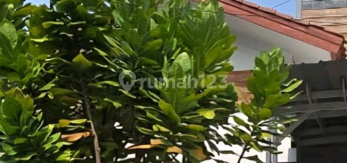 Investasi Bagus Cocok untuk Kantor 1