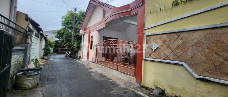 Downtown Undip Kos Below 1