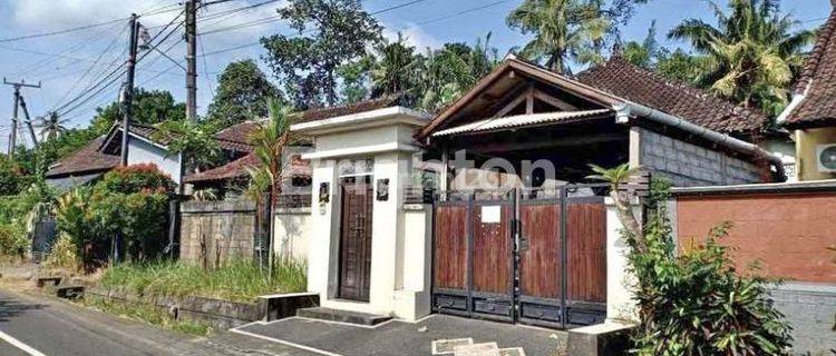 Rumah Tabanan Kota Murah 2 Are 1
