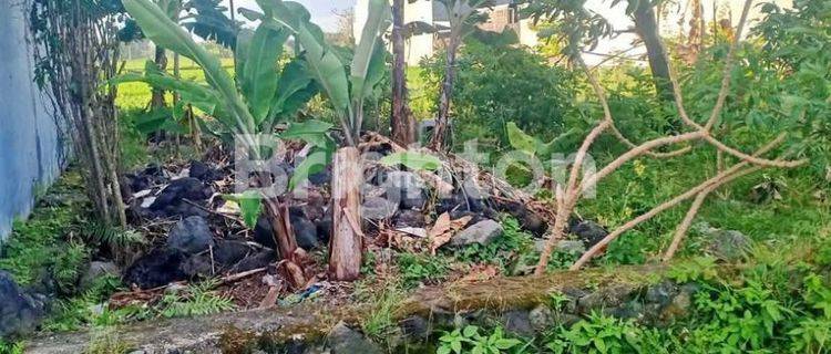 Tanah Siap Bangun di Jalan Trengguli, Penatih 1