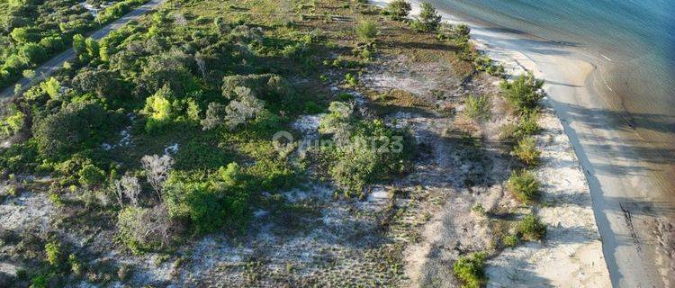 Tanah di Bunguran Timur, Natuna SHM 127ha tepi sungai dan laut 1