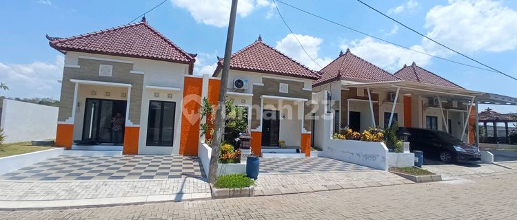 Rumah Nuansa Bali Dekat Dg Pusat Kota Harga Mulai 700jt An  1
