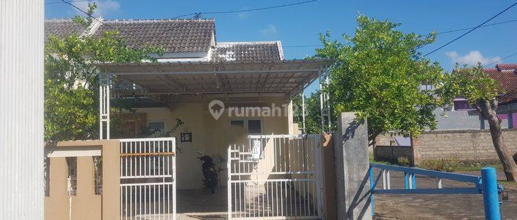 Dijual Cepat Rumah Bagus Unfurnished SHM Blimbingsari Banyuwangi, Banyuwangi 1