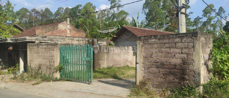 Peternakan Lelang Bank Permata Cisurupan, Kab. Garut 1