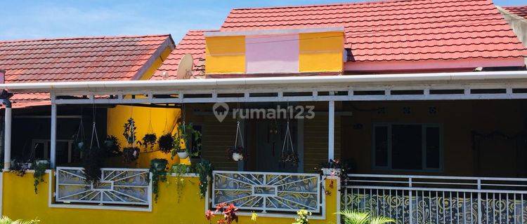 Jual Rumah Bumblebee Yellow di Manado Sulawesi Utara R R 1