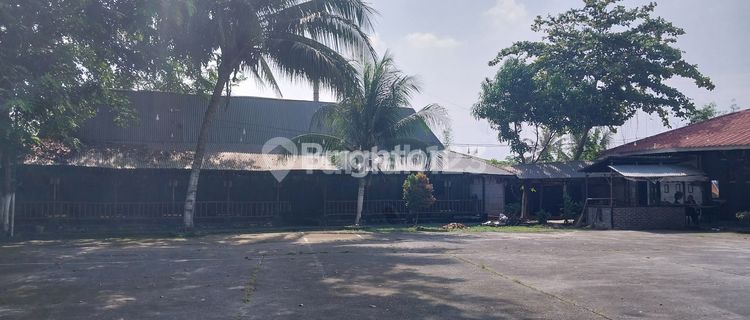 Disewakan Tanah di Batang kuis 1