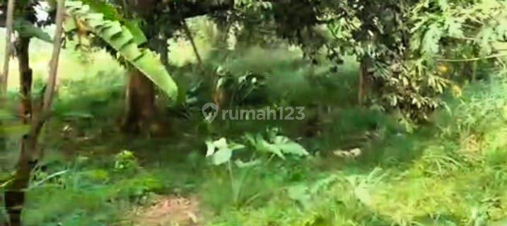 Jual Cepat BU Tanah Lahan Daratan 370 meter di Ciseeng 1