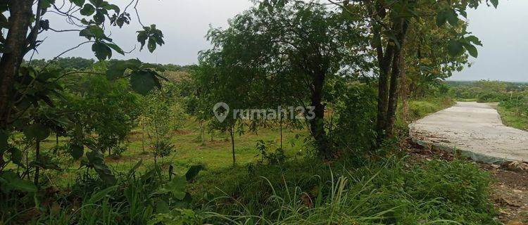 Tanah di Jonggol 9300mtr Lokasi dpn/samping Yonpomad Jonggol  1
