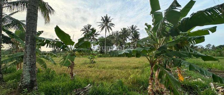 Tanah Strategis Lokasi Sebrang Bibir Pantai di Sukarame Carita Pandeglang