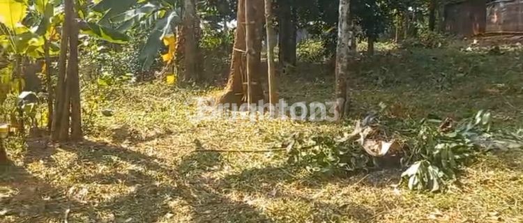 DIJUAL CEPAT TANAH G.PATI 1