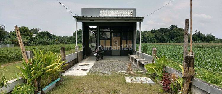 Ruko Cafe Di Sewakan Jl Kalikangkung Pangkah 1