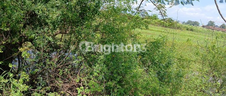 LAND FOR RENT READY TO BUILD SUITABLE FOR BUSINESS AREA 2,140M SOEKARNO HATTA AREA SEMARANG 1