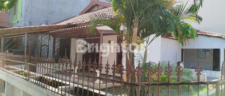 FOR SALE: A CORNER HOUSE SUITABLE FOR RESIDENCE / RESTAURANT / OFFICE, WITH AN AREA OF 299 m² IN TLOGOSARI AREA, SEMARANG. 1