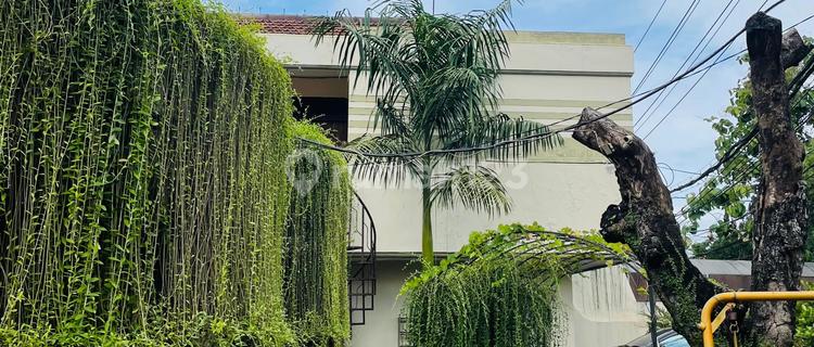 Dijual Rumah Strategis Kawasan Bisnis 1