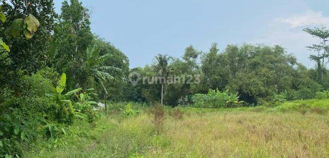 Tanah Murah Godean, Dekat SMAN 1 Godean, Strategis 1
