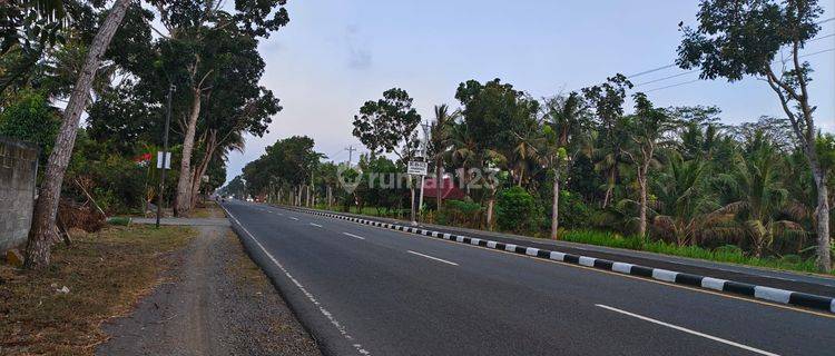 Tanah Dijual 1100 meter dekat Bandara YIA, pinggir jalan besar, Lebar Depan : 16 meter, Lokasi Strategis 1