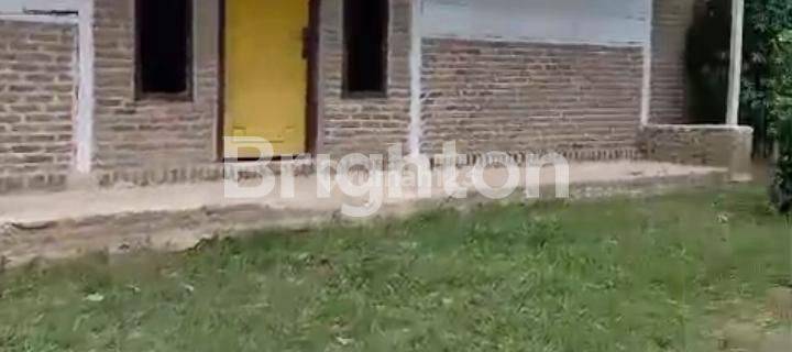 Dijual Cepat Rumah dan Kandang Ayam 1