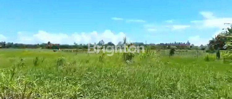 TANAH DIJUAL DI PINGGIR PANTAI DELODBRAWAH JEMBRANA COCOK BANGUN RESORT, COTTAGE DAN RESTORAN 1