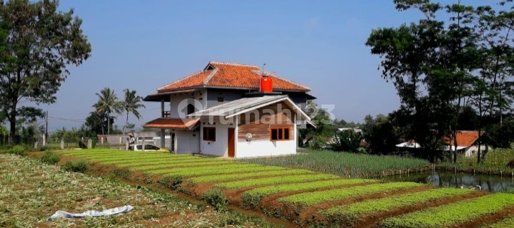 Juak Rumah / Villa Di Pasirhuni.-cisaat - Sukabumi 1