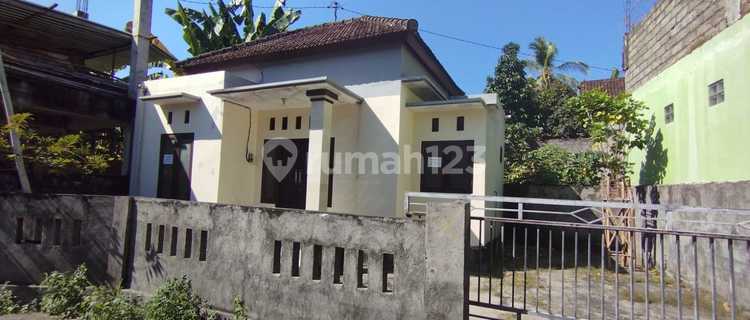 Rumah Perintis Bukan Pewaris Jl Pulau Menjangan Gg Hasannudin Kel Banyuning Kabupaten Buleleng Bali 1