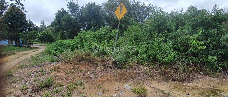Tanah Lokasi Strategis Pinggir jalan Pangkol Desa Air Mesu Timur Bangka  1
