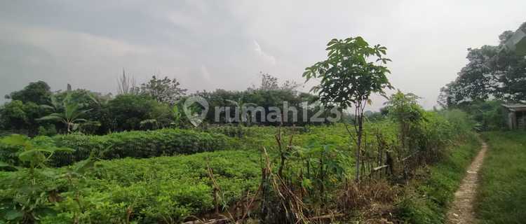 Dijual Tanah Kavling Berkah ,Legalitas SHM Bojong Gede 1