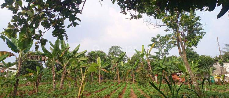 Tanah Menguntungkan Cocok Bangun Kontrakan Tajur Halang  1