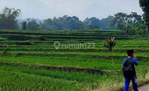Tanah Strategis Lokasi Pinggir Jalan di Kampung Ciceret, Ciapus, Banjaran, Kabupaten Bandung 1