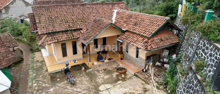 Rumah Murah di Pedesaan, Cocok Buat Investasi & Tempat Tinggal 1