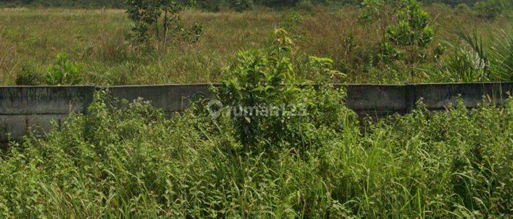 Tanah Pinggir Jalan Garuda Sakti Pekanbaru Riau 1