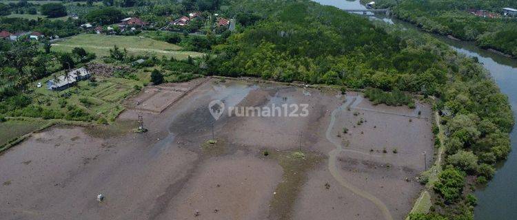 2 Bidang Tanah Luas Desa Perancak Bali 1