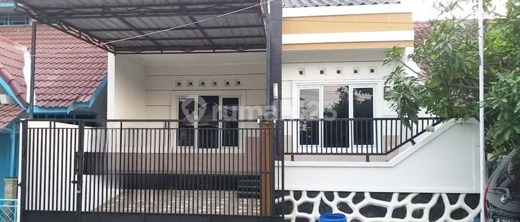 Nice house located near the city center, airport, station, port. 1