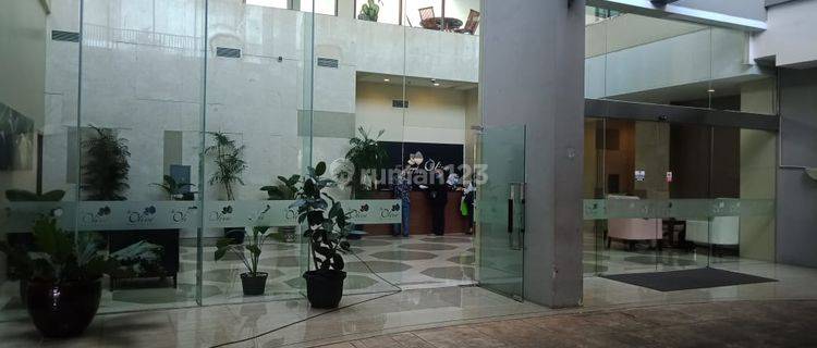 Aparteme (The Royal Olive Residence) Diarea Mampang Furnished 1