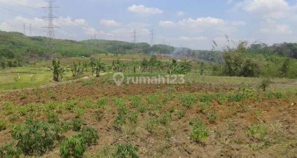 Tanah 2,3 Ha Untuk Kebun Dan Peteranakan Di Gunungpati Semarang 1