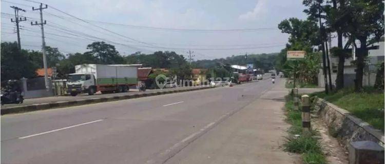 Tanah Luas 4.7 Ha Di Jl. Ry. Pantura Batang Jawa Tengah 1