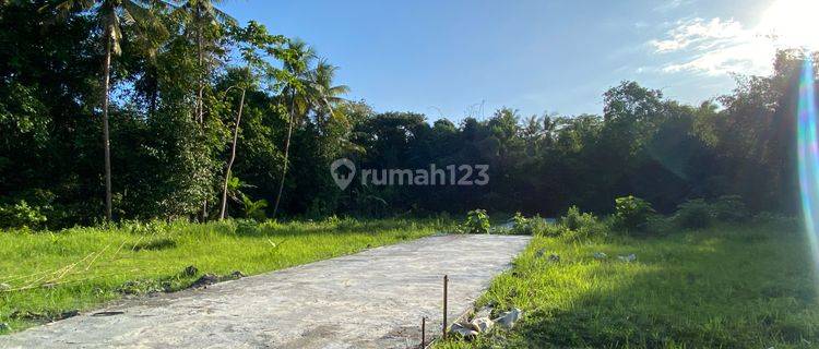 Timur Bandara Yia, Tanah Dijual Wates 1 Jt An 1