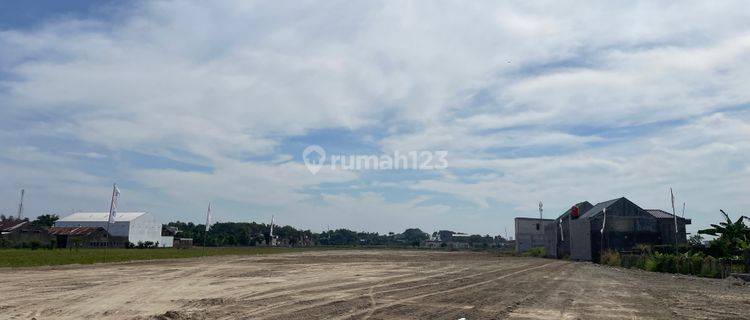 Area Wates Kota, Dijual Tanah Jogja Shmp 1