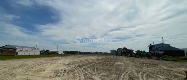 8 Menit Kota Wates, Dijual Tanah Jogja Shmp 1