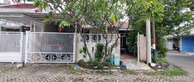 Rumah Minimalis Dekat Bungurasih Dan Tol Waru 1