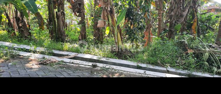 Tanah Kavling Dekat Kota 1