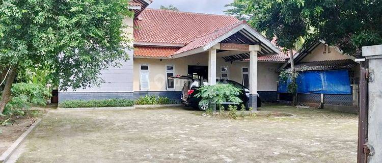 Villa Dan Sawah Aktif Kawasan Wisata Jalan Raya Labuan 1