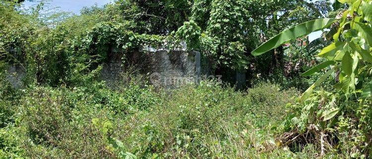 Tanah Kavling Kramatwatu Harga Miring di Jalan Utama 1