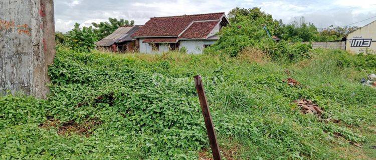 Tanah Bojonegara 1,8 Hektar Strategis Nempel Jalan Utama 1