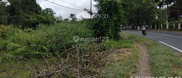 Tanah Jalan Utama Kembiritan Banyuwangi Nego Halus 1