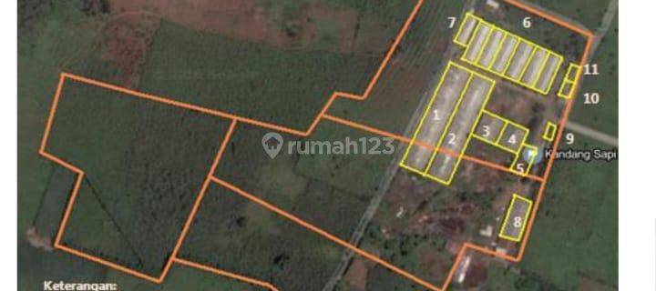 Dijual Peternakan Sapi Potong Aktiv+tanah+bangunan, Purwakarta 1