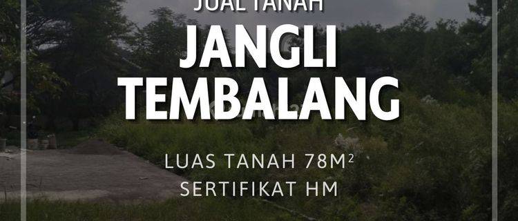 Tanah Murah di Jangli Tembalang Semarang Atas 1