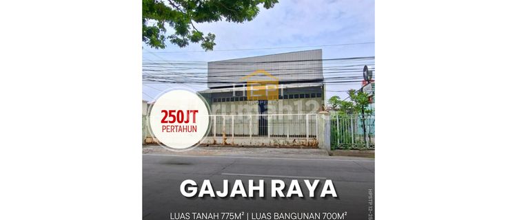 Ruko Tegnah Kota di Gajah Raya Semarang Timur 1